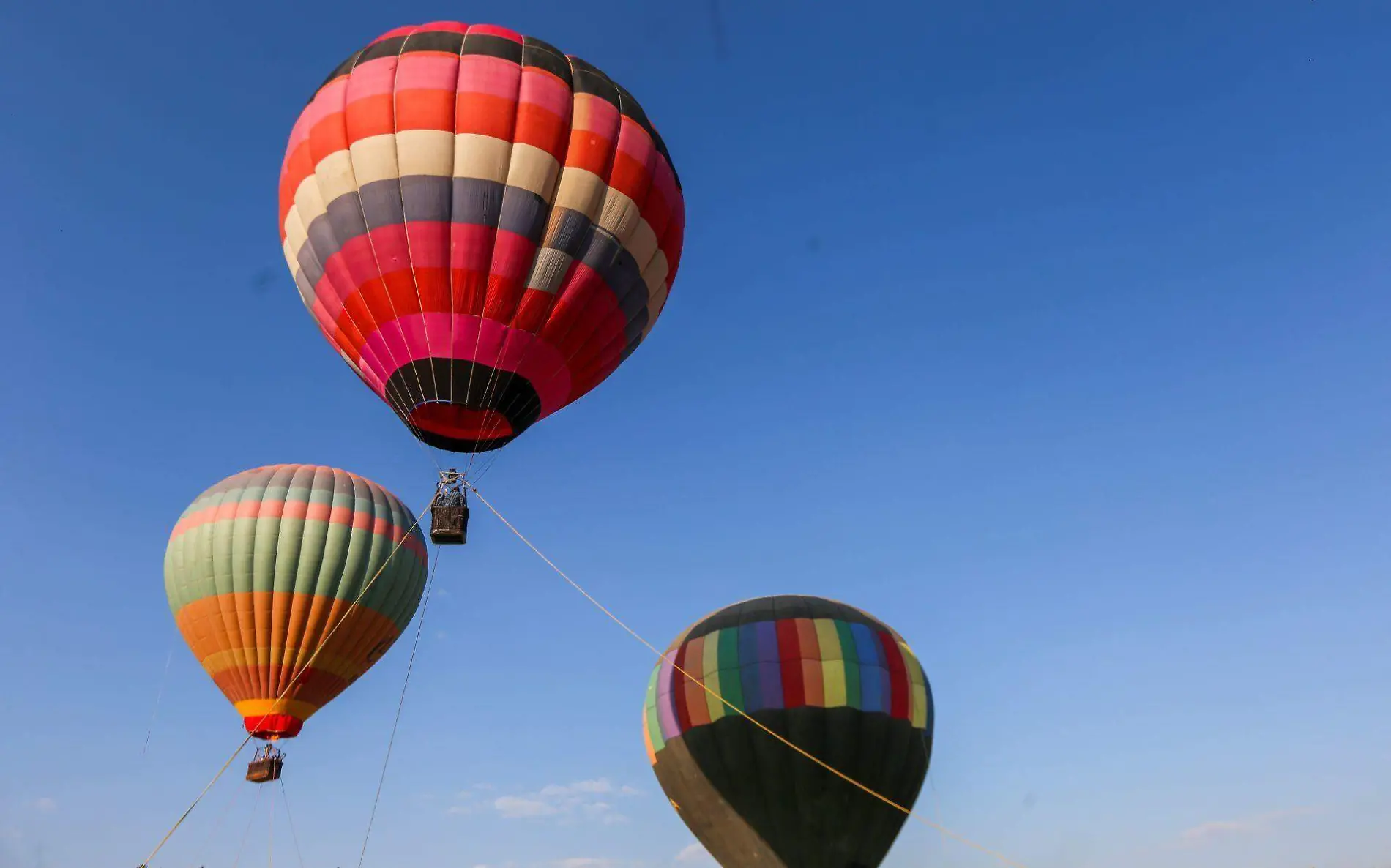 871861_Festival del Globo -4_web